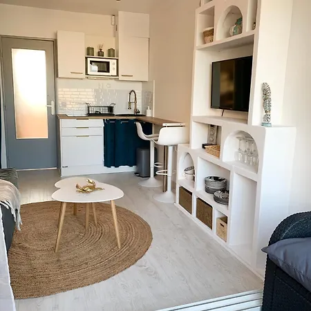 Vue Port Et Cap D'agde Ile Des Pecheurs