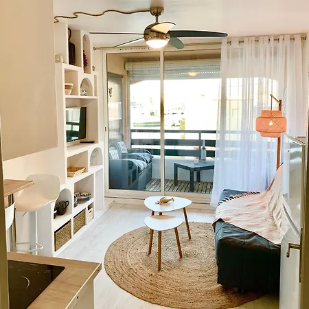 Vue Port Et Cap D'agde Ile Des Pecheurs 아그