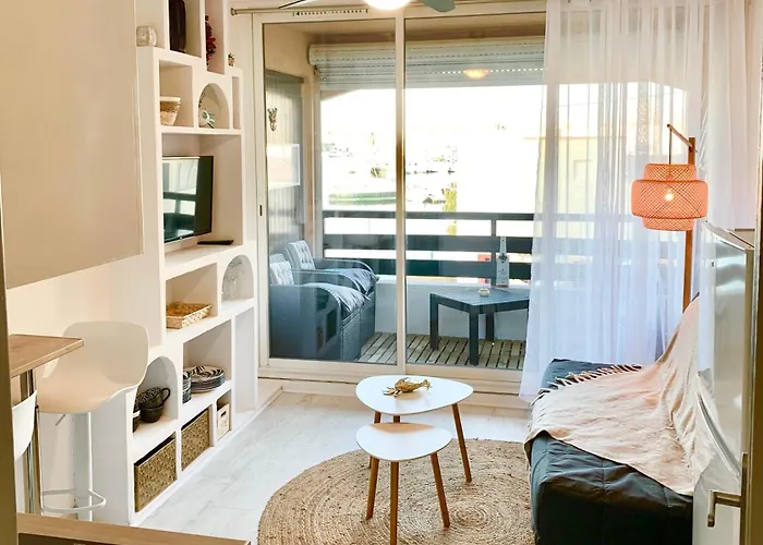 Vue Port Et Cap D'agde Ile Des Pecheurs Agde