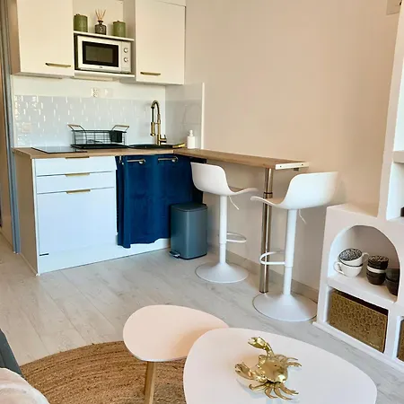 Vue Port Et Cap D'agde Ile Des Pecheurs *