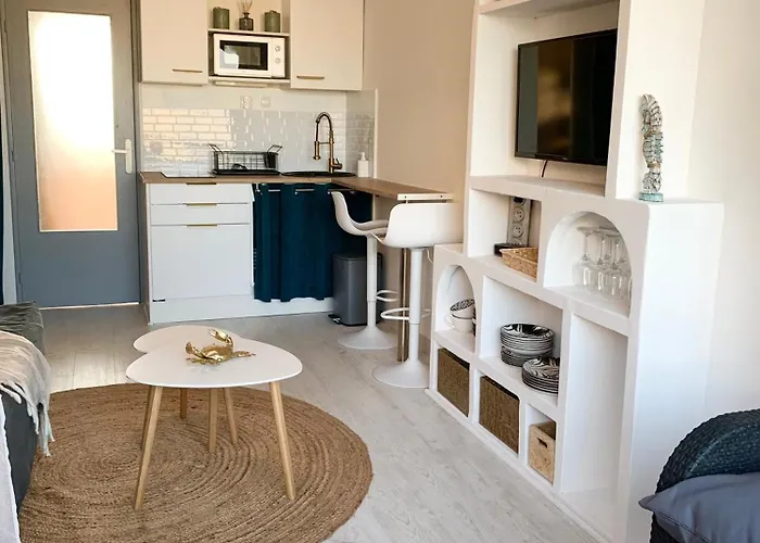 Vue Port Et Cap D'agde Ile Des Pecheurs