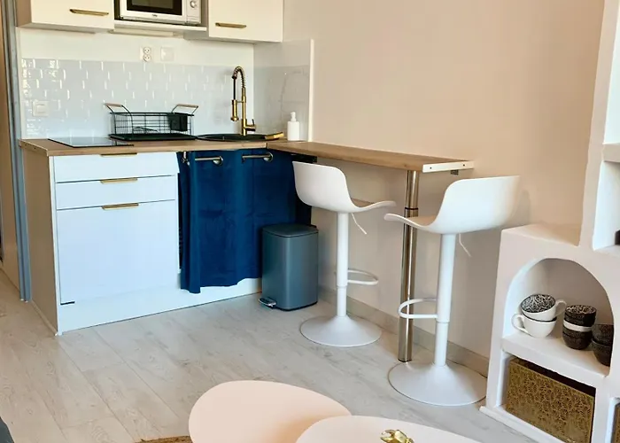 Vue Port Et Cap D'agde Ile Des Pecheurs *